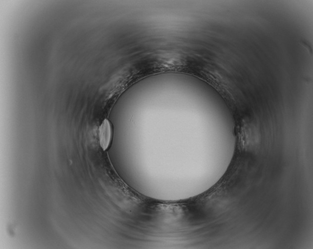 X0000103230520200809041027