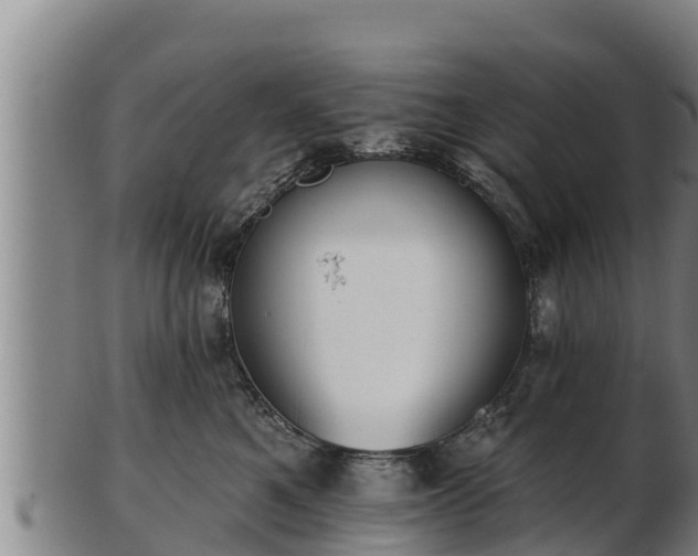 X0000103230521200809041027
