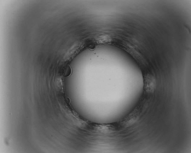 X0000103230523200809041027