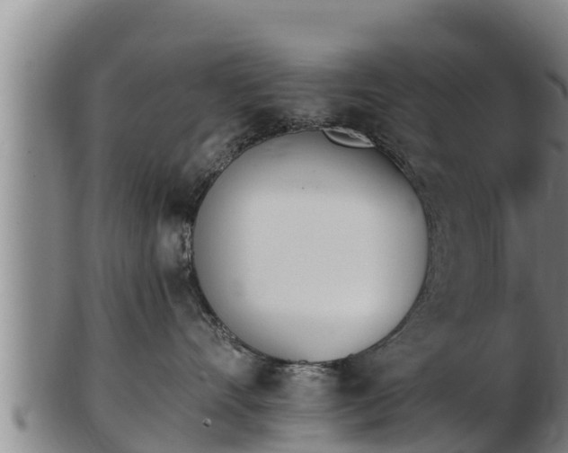 X0000103230528200809041027