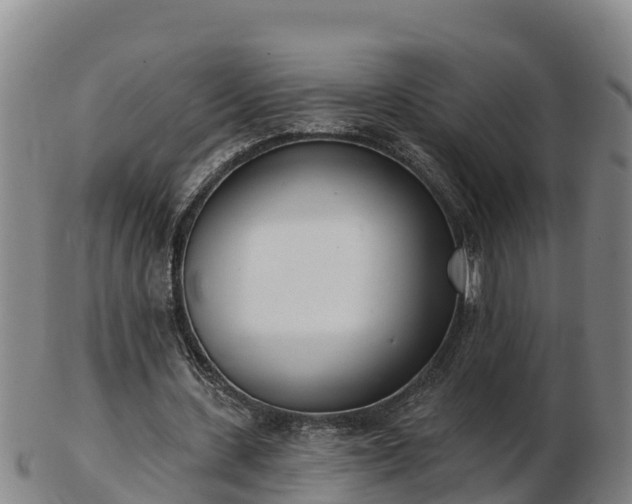 X0000103230531200809041027