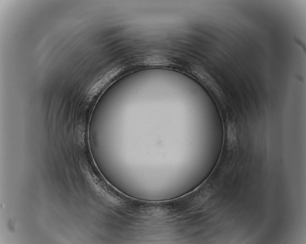 X0000103230533200809041027
