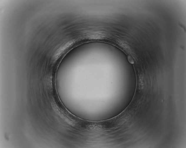 X0000103230535200809041027