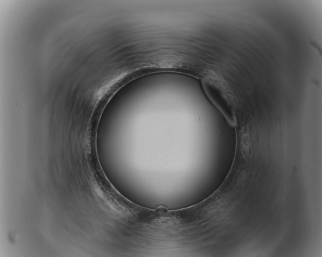 X0000103230536200809041027