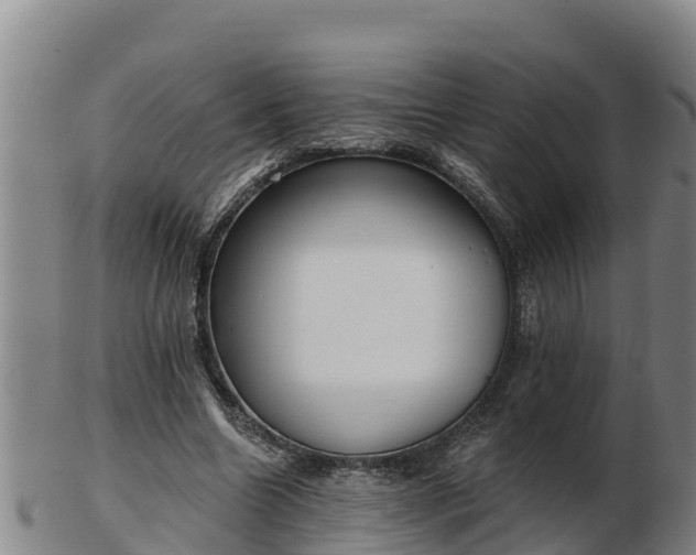 X0000103230538200809041027