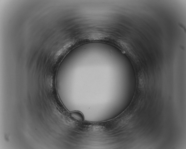 X0000103230539200809041027