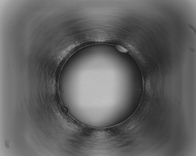 X0000103230540200809041027