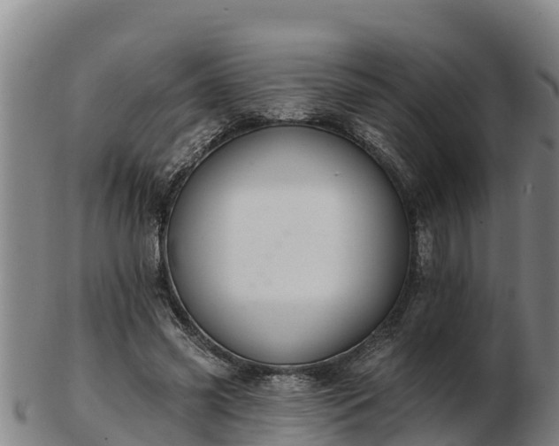 X0000103230541200809041027
