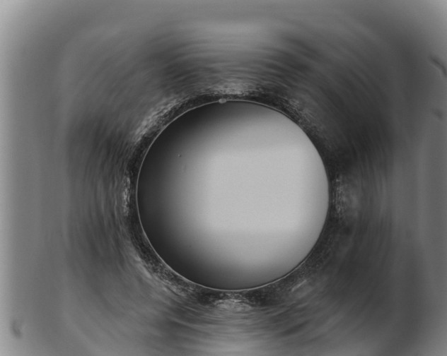 X0000103230544200809041027