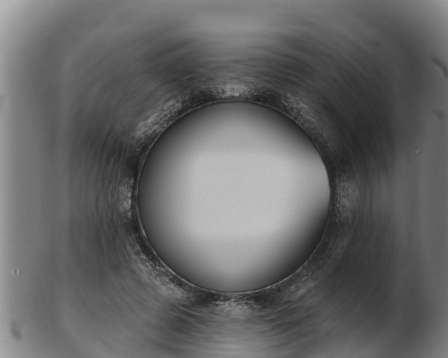 X0000103230545200809041027