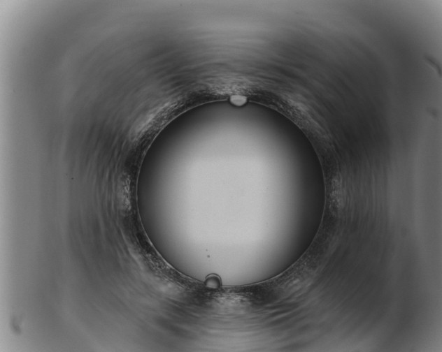 X0000103230547200809041027
