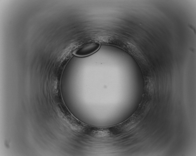 X0000103230548200809041027