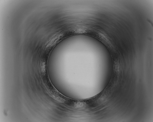 X0000103230549200809041027