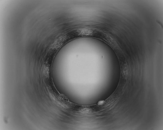 X0000103230551200809041027