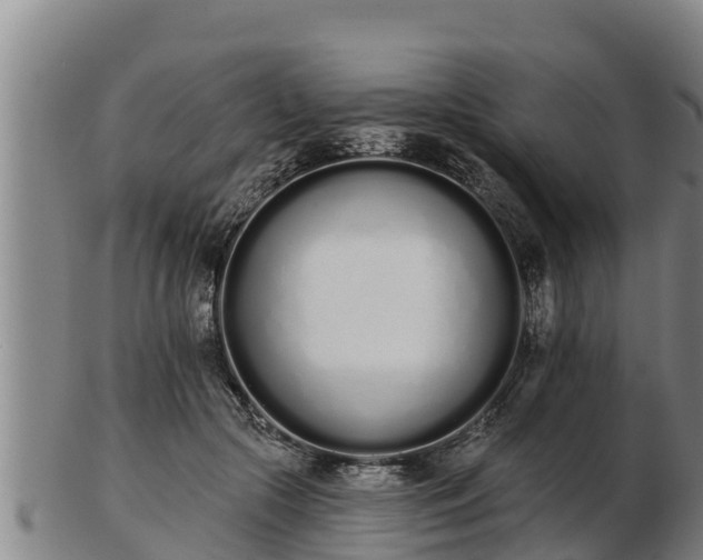 X0000103230553200809041027