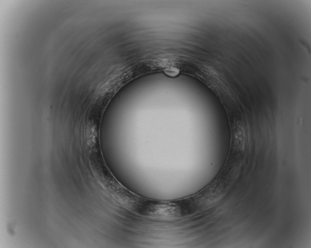 X0000103230555200809041027