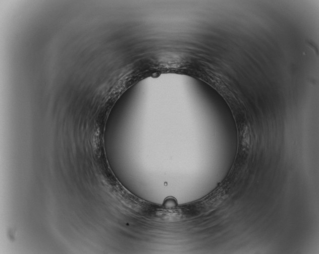 X0000103230559200809041027