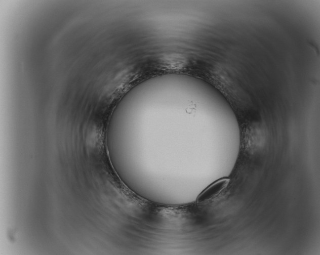 X0000103230568200809041027