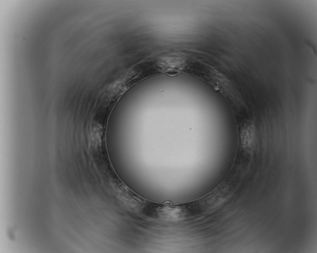 X0000103230570200809041027