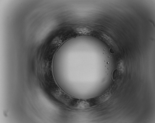 X0000103230572200809041027