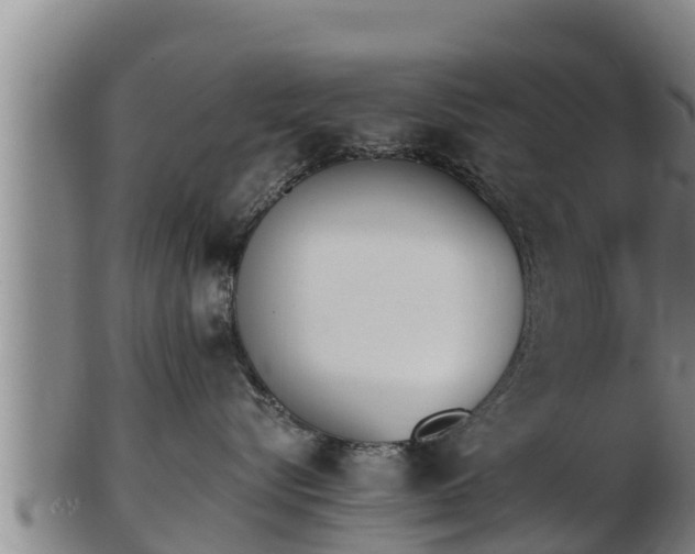 X0000103230576200809041027