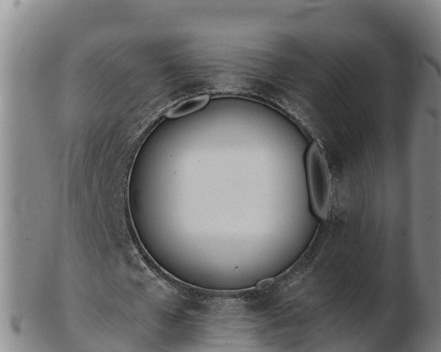X0000103230577200809041026