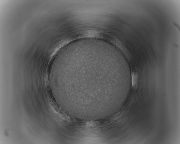 X0000103230579200809041026