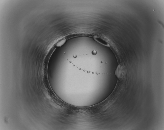X0000103230580200809041026