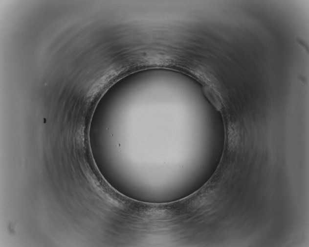 X0000103230581200809041026
