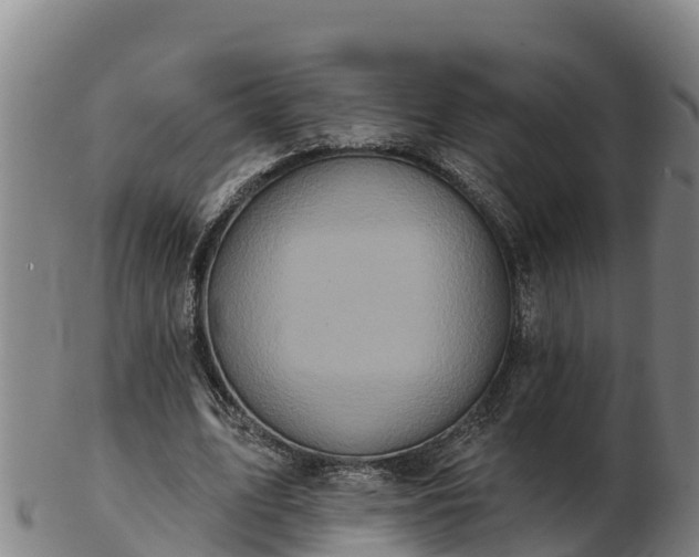 X0000103230583200809041026
