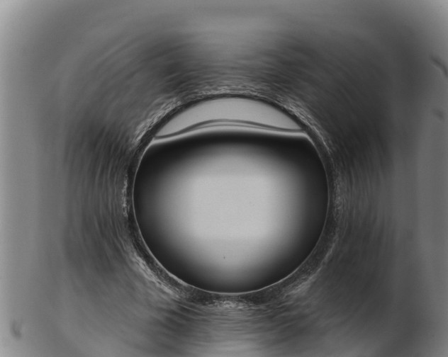 X0000103230585200809041026