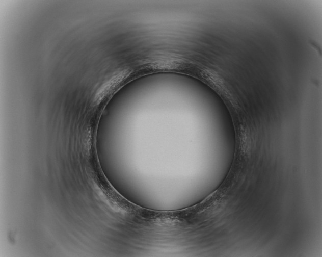 X0000103230586200809041026