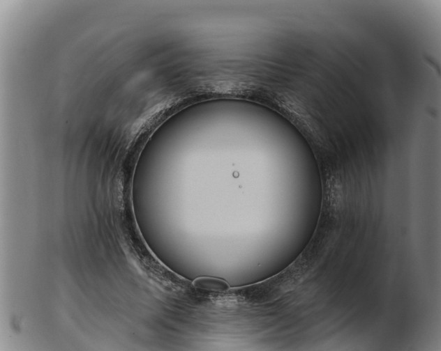 X0000103230587200809041026