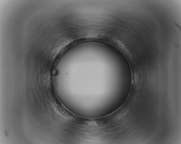 X0000103230588200809041026