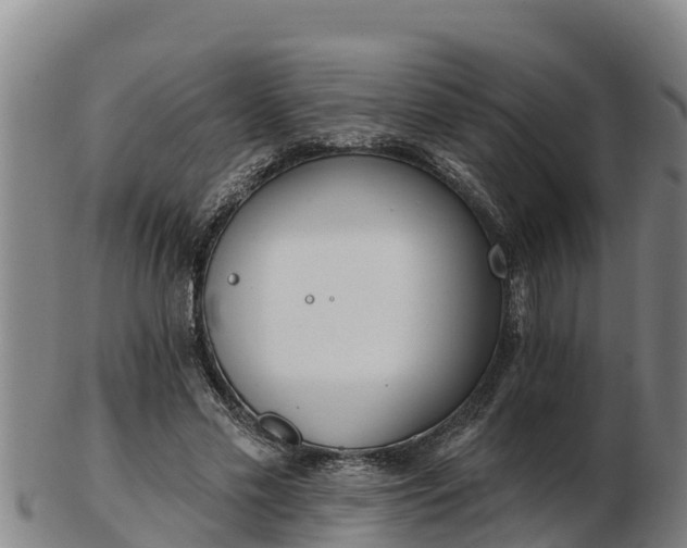 X0000103230589200809041026