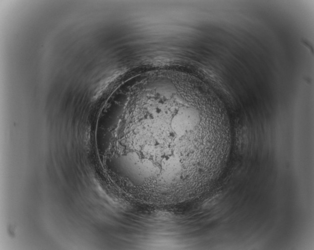 X0000103230592200809041026