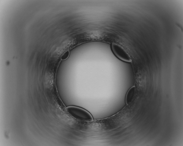 X0000103230593200809041026