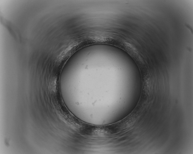 X0000103230596200809041026