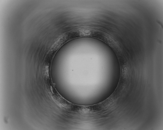 X0000103230598200809041026