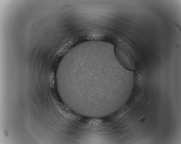 X0000103230599200809041026
