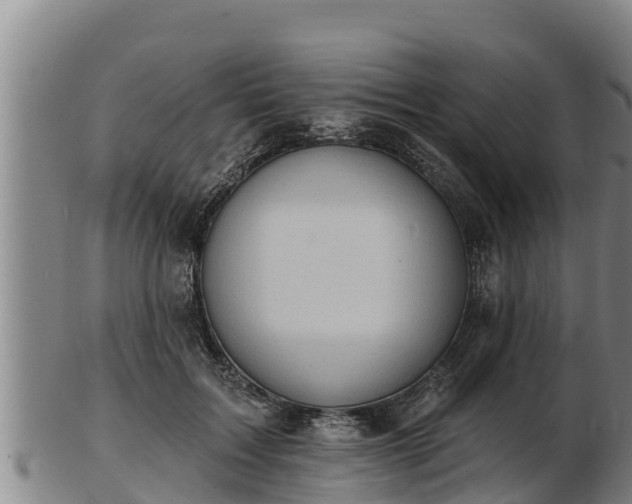 X0000103230603200809041026
