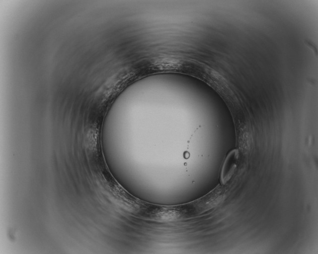 X0000103230604200809041026
