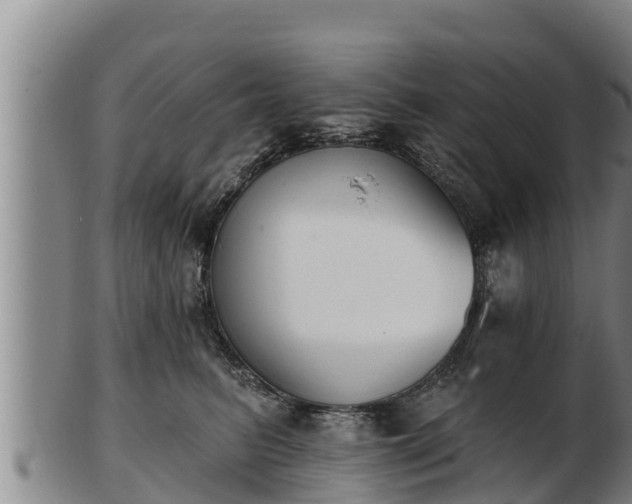 X0000103230615200809041026