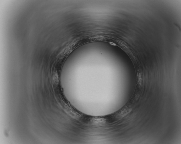 X0000103230617200809041026