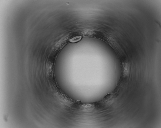 X0000103230619200809041026