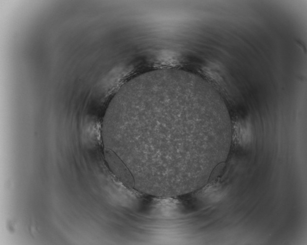 X0000103230621200809041026