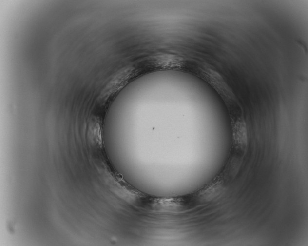 X0000103230622200809041026