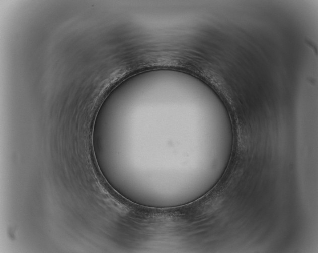 X0000103230625200809041025