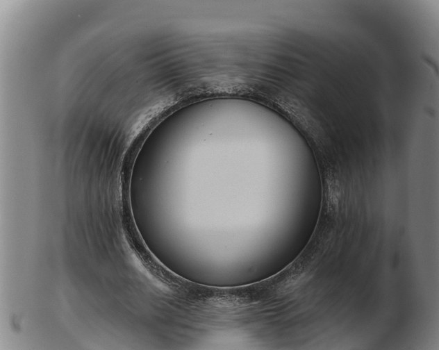 X0000103230630200809041025