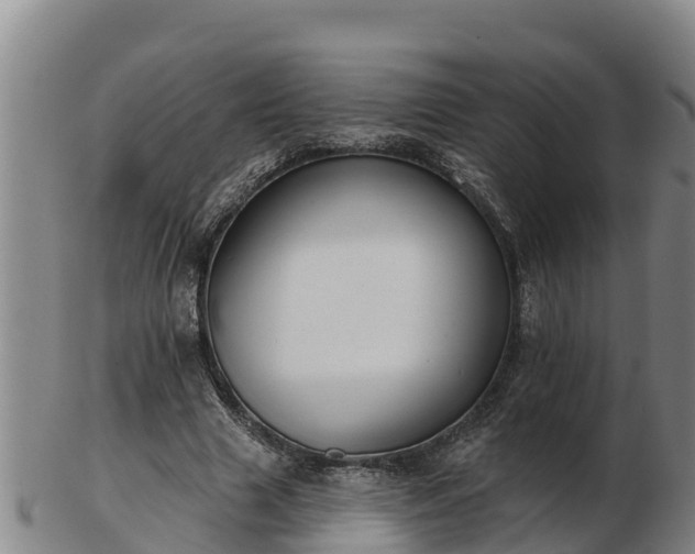 X0000103230633200809041025